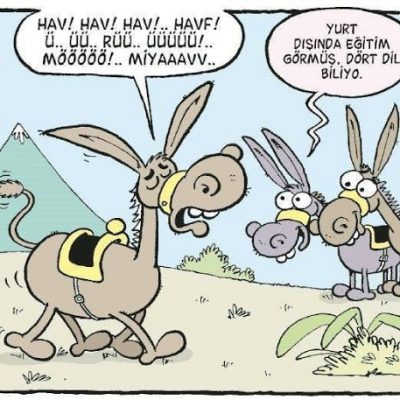 Yabancı Dil